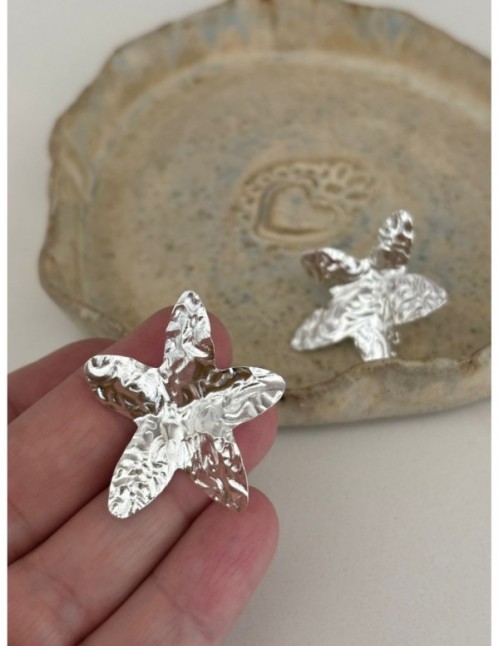 AROS BAÑADOS EN PLATA ESTRELLA