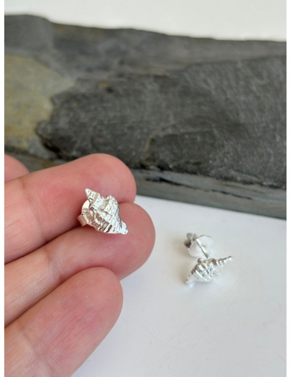 AROS BAÑADOS EN PLATA CONCHA