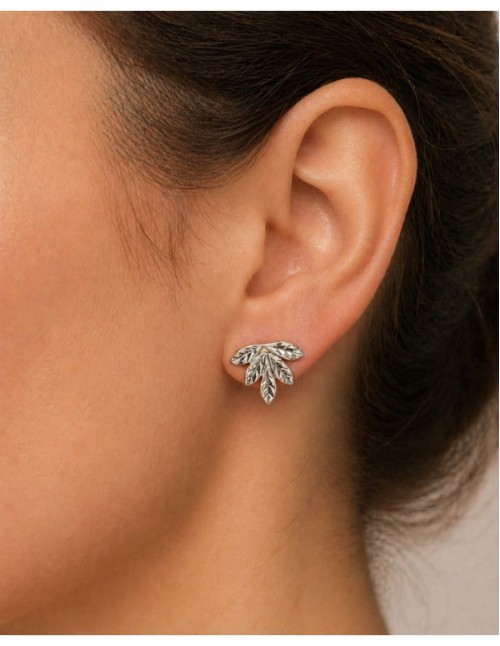 AROS BAÑADOS EN PLATA HOJA 2