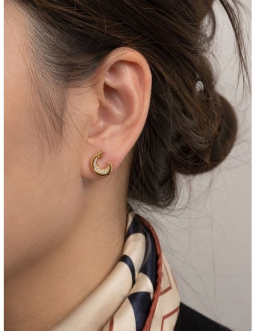 AROS BAÑADOS EN ORO CIRCONES 2
