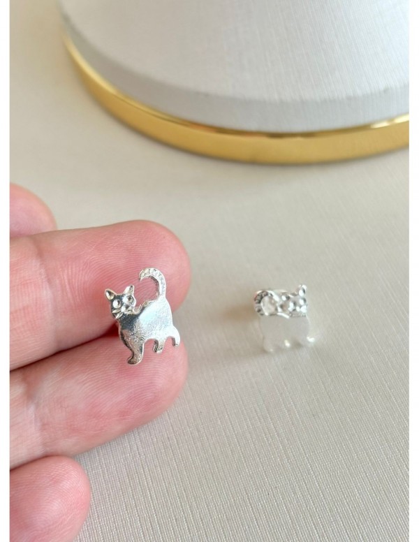 AROS BAÑADOS EN PLATA GATO